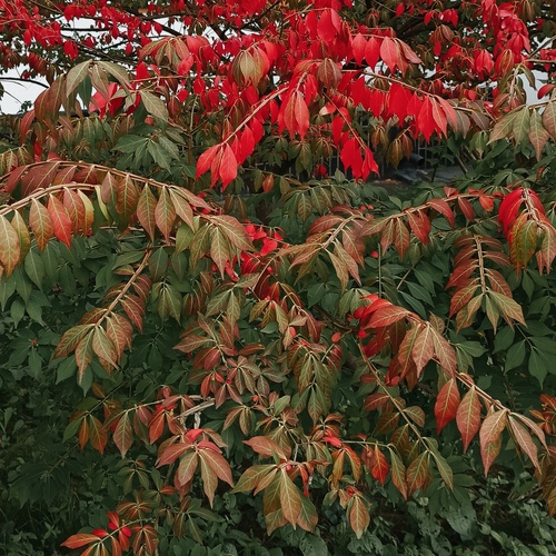 Photo #14111456