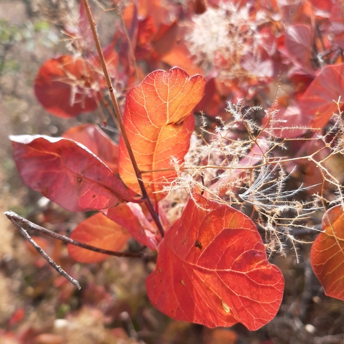Photo #14111461