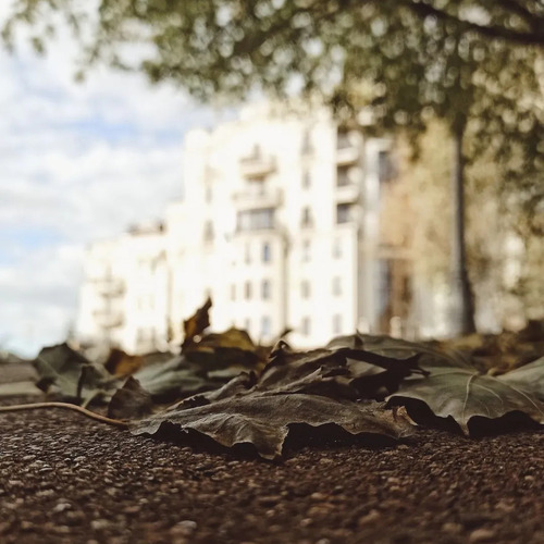 Photo #14111504