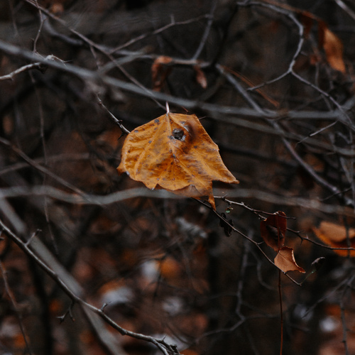 Photo #14111510