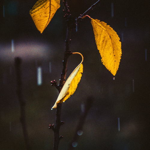 Photo #14111511
