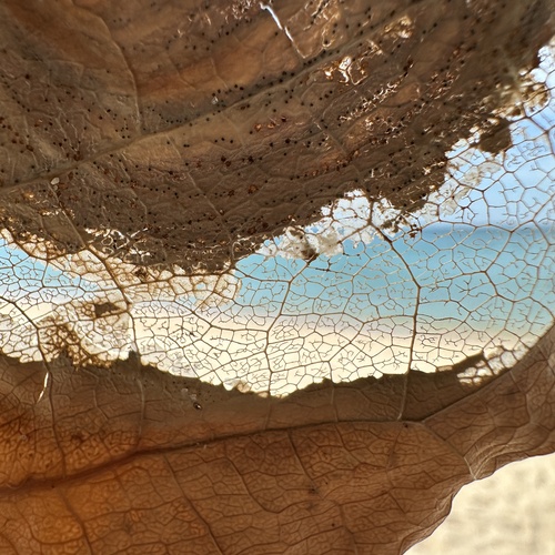 Photo #14111540