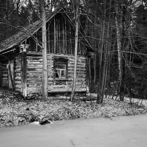 Photo #14111567