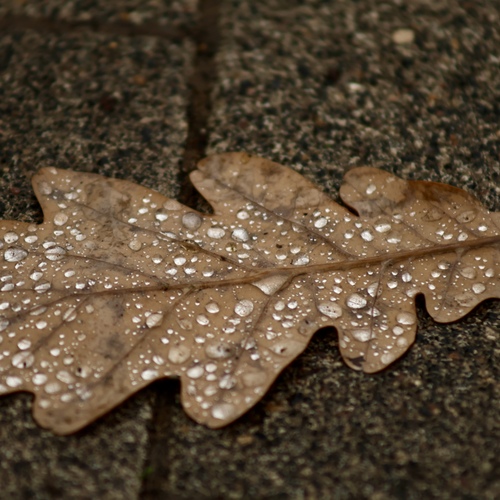 Photo #14111572