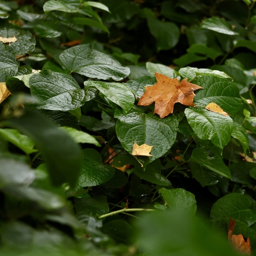 Photo #14111573