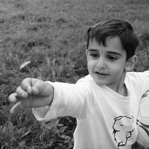 Photo #14111592