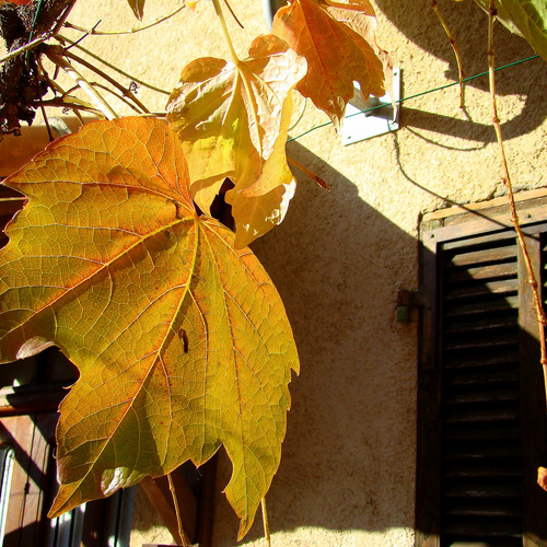 Photo #14111595