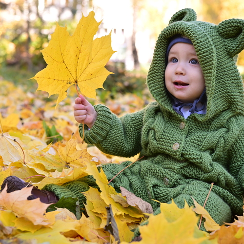 Photo #14111600