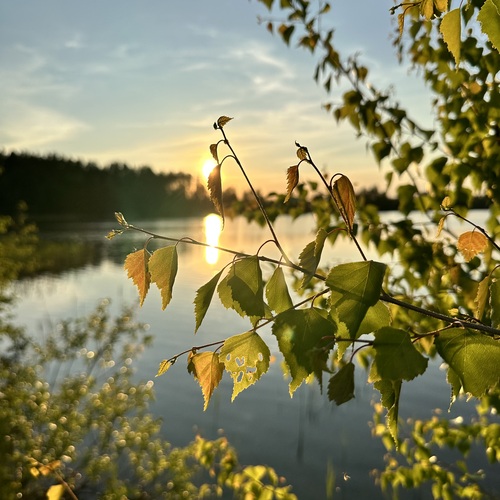 Photo #14111652