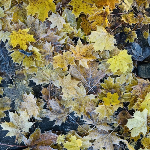 Photo #14111662