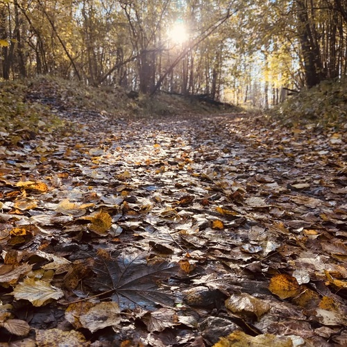Photo #14111665