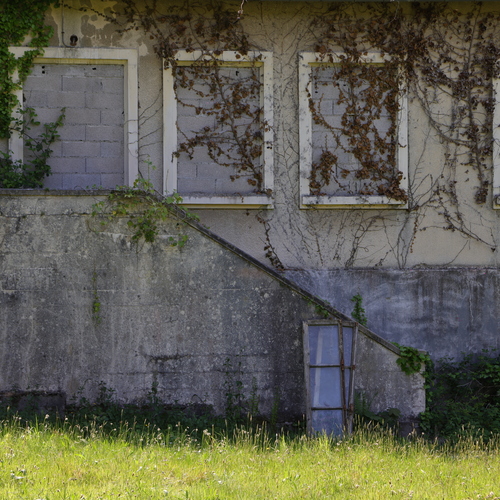 Photo #14111675