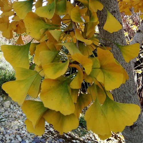 Photo #14111683