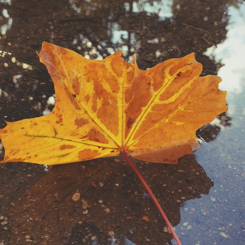 Photo #14111723