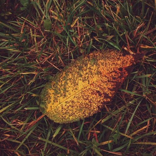 Photo #14111735