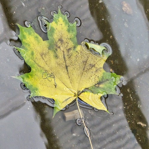 Photo #14111757