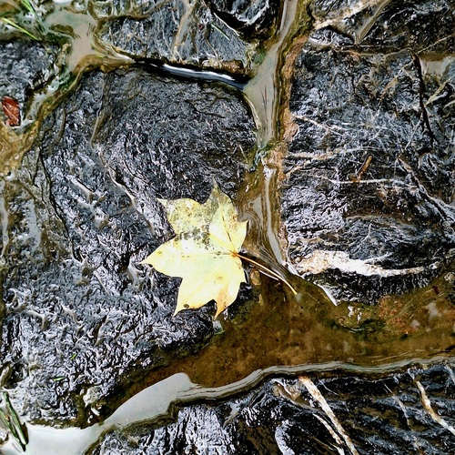 Photo #14111758