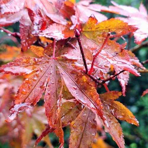 Photo #14111759
