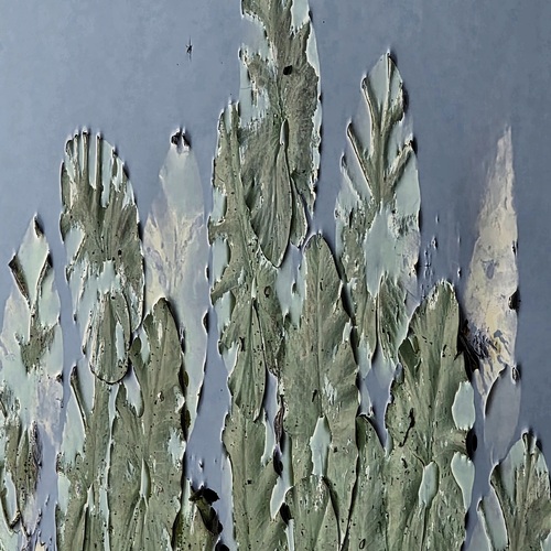 Photo #14111829