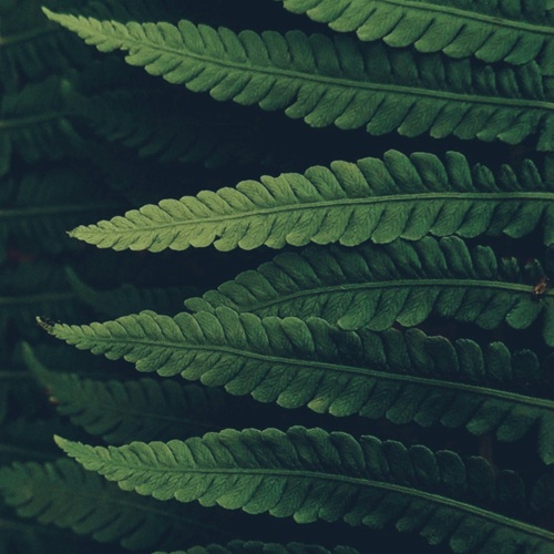 Photo #14111832