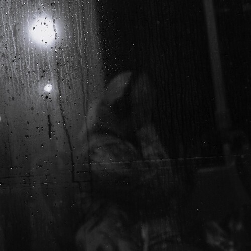 Photo #14111894