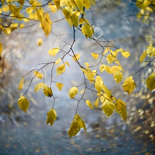 Photo #14111926