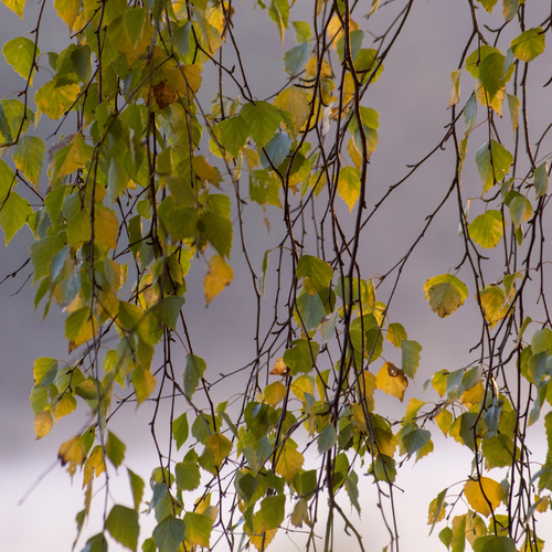 Photo #14111938