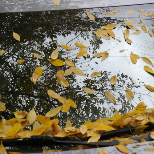 Photo #14112031