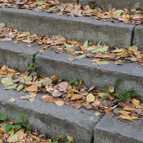 Photo #14112032