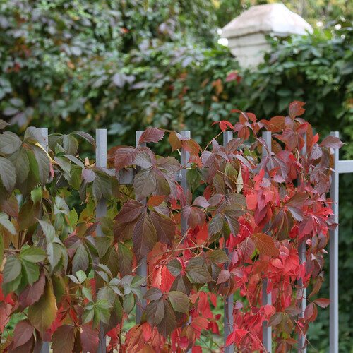 Photo #14112042