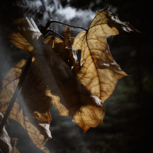 Photo #14112341