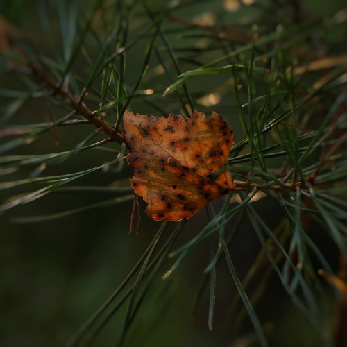 Photo #14112404
