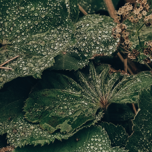 Photo #14112425