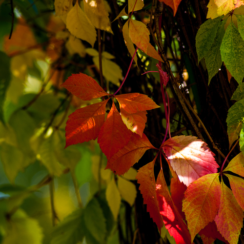 Photo #14112447