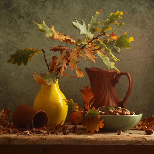 Photo #14112460