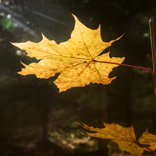 Photo #14112473