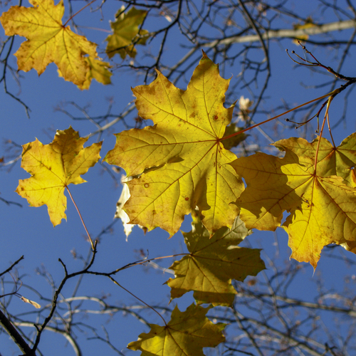 Photo #14112536