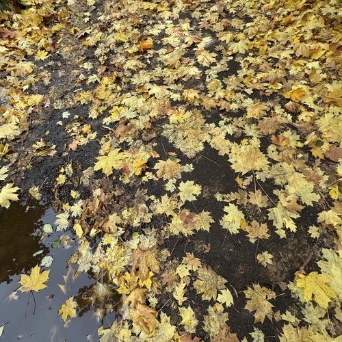 Photo #14112548
