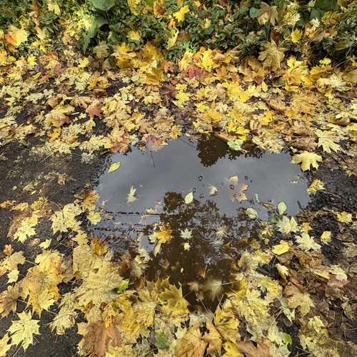 Photo #14112551