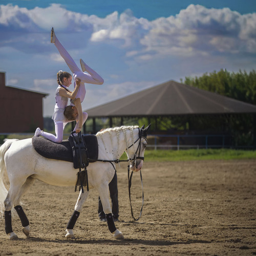 Photo #14112558