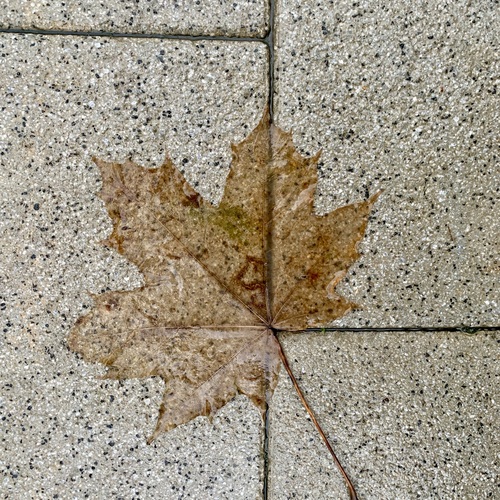 Photo #14112593