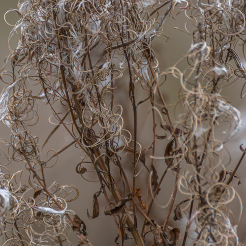 Photo #14112595