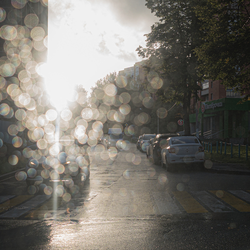 Photo #14112637