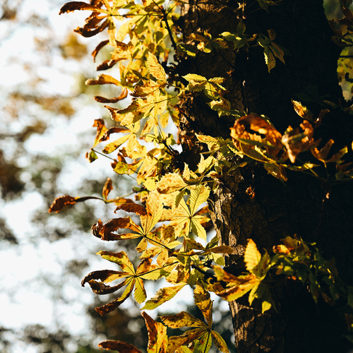 Photo #14112671