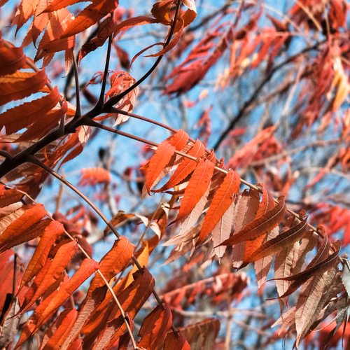 Photo #14112672