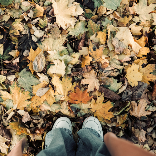 Photo #14112673