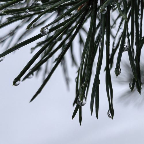 Photo #14112674