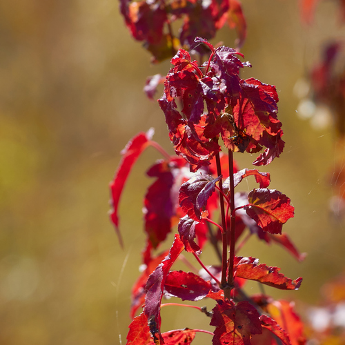 Photo #14112814