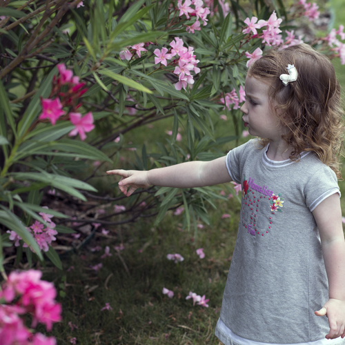 Photo #14112837