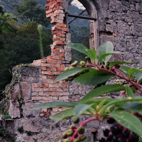 Photo #14112844